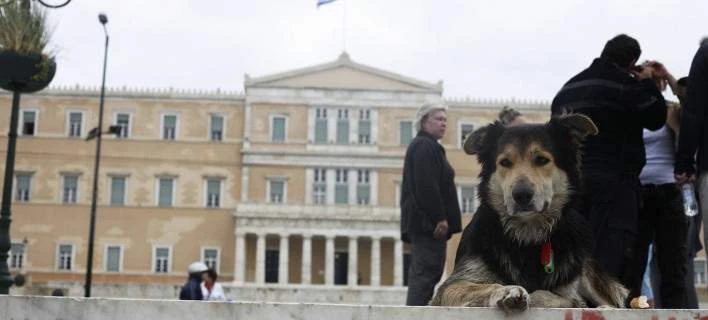 Αποσύρεται για να επανεξεταστεί το νομοσχέδιο για τα κατοικίδια και τα αδέσποτα ζώα